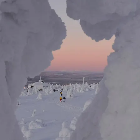 Alley 3b - In Centre Levi